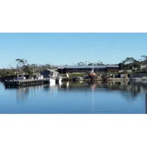 the cannery dunalley